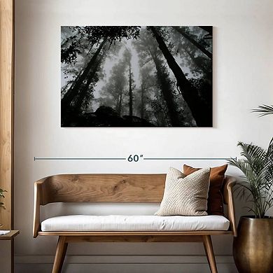 Eerie Forest Mist Wall Art