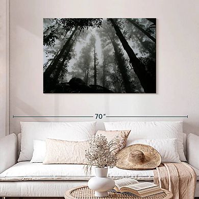 Eerie Forest Mist Wall Art