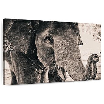 Elephant Up Close Wall Art