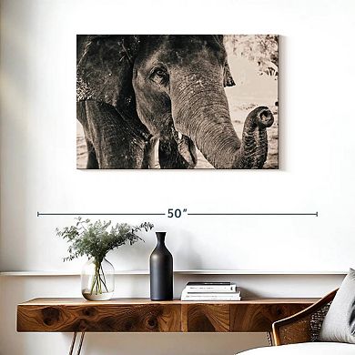 Elephant Up Close Wall Art