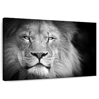 Lion Portrait Wall Art