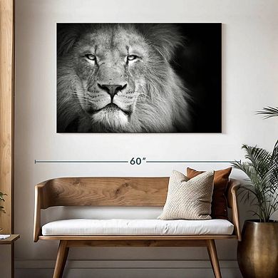 Lion Portrait Wall Art