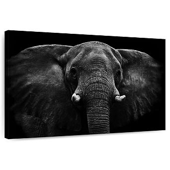 Adult Elephant Wall Art