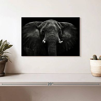 Adult Elephant Wall Art