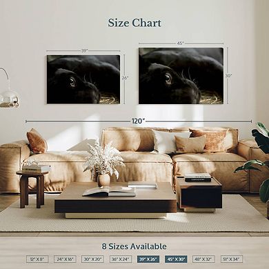 Comfortable Black Panther Wall Art