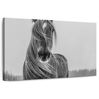 Winter Horse Wall Art