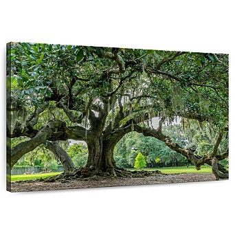 Audubon Park Oak Tree Wall Art