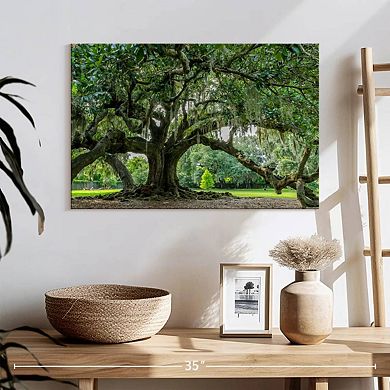 Audubon Park Oak Tree Wall Art