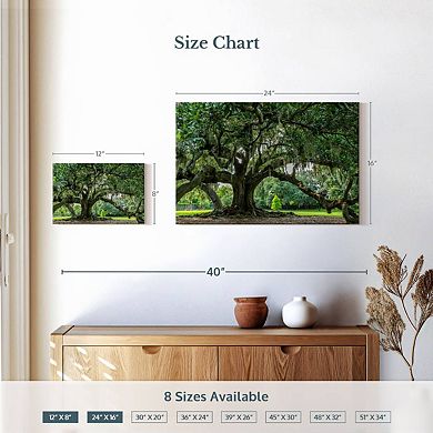 Audubon Park Oak Tree Wall Art