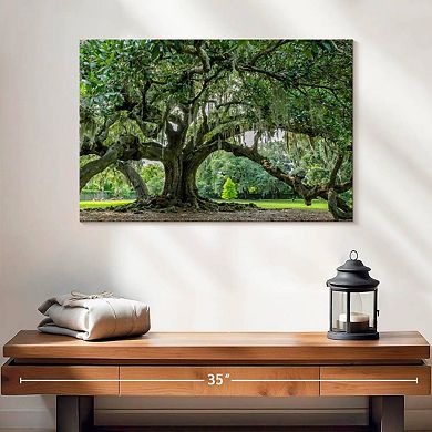 Audubon Park Oak Tree Wall Art