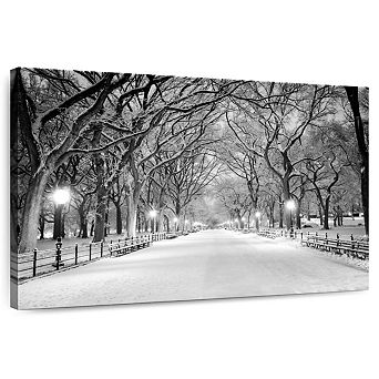 Central Park White Winter Wall Art