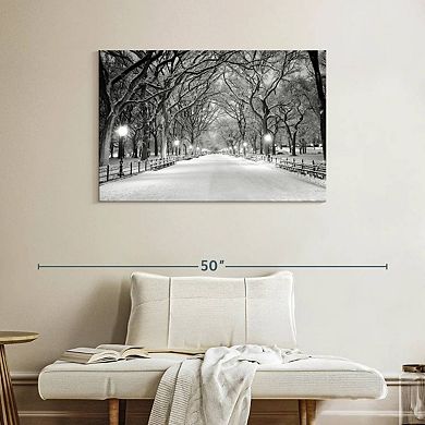 Central Park White Winter Wall Art