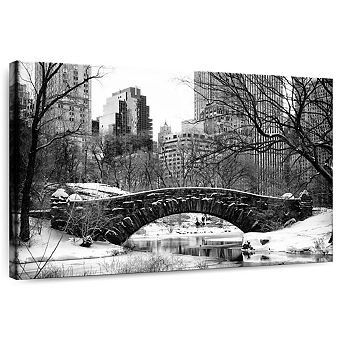 Central Park BW Wall Art
