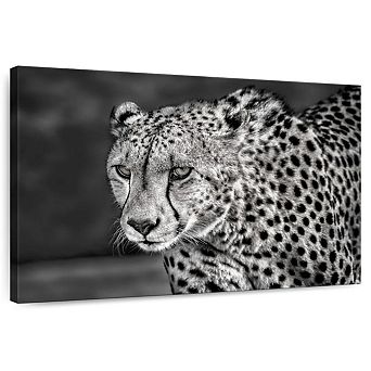 Ferocious Cheetah Wall Art