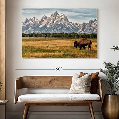 Bull Bison In Grand Teton Wall Art