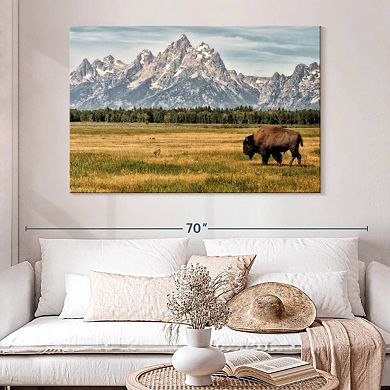 Bull Bison In Grand Teton Wall Art