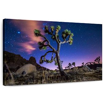 Joshua Tree Under Starry Sky Wall Art