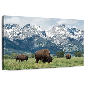 Grand Teton American Buffalo Herd Wall Art
