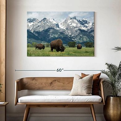 Grand Teton American Buffalo Herd Wall Art