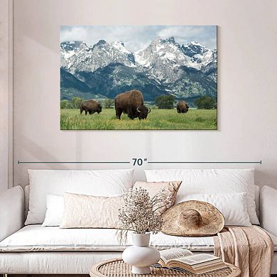 Grand Teton American Buffalo Herd Wall Art