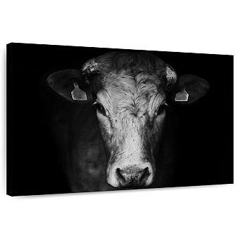 Pondering Cow Wall Art