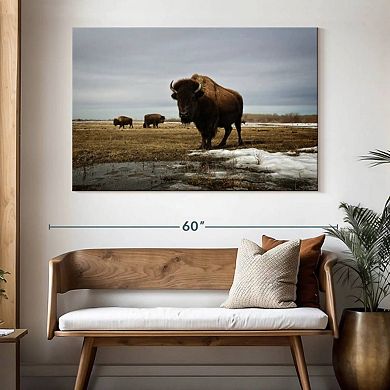Bison Cloud Day Wall Art