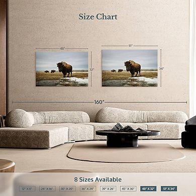 Bison Cloud Day Wall Art