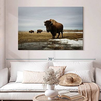Bison Cloud Day Wall Art