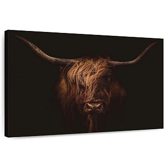 Handsome Highland Cow Wall Art