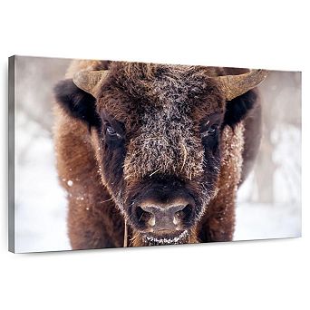 Frosty Bison Wall Art