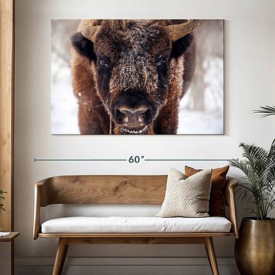 Frosty Bison Wall Art