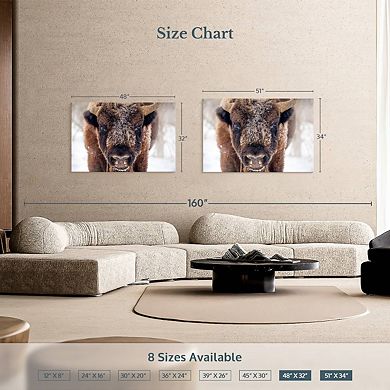 Frosty Bison Wall Art