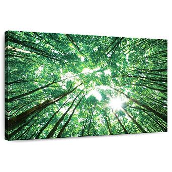 Forest Canopy Wall Art