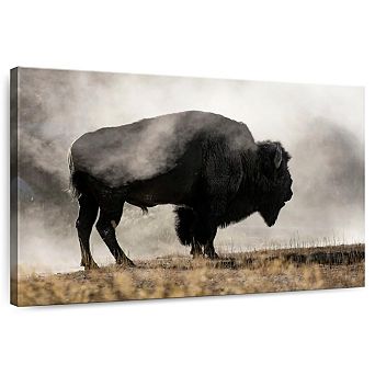 Geyser Basin Wall Art