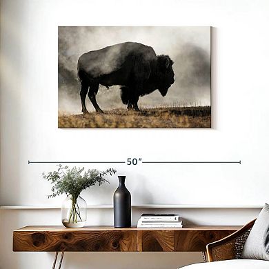 Geyser Basin Wall Art