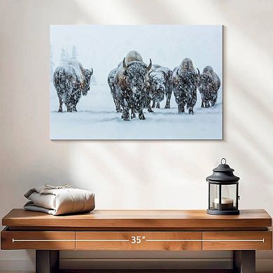 Bisons In Yellowstone National Park Wall Art