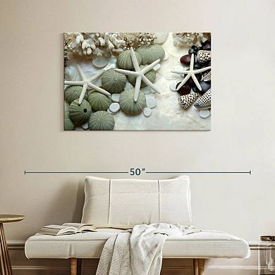 Island Tide Pool VII Wall Art