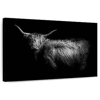 Hello Highland Cow Wall Art