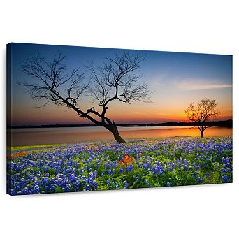 Texas Sunset Wall Art