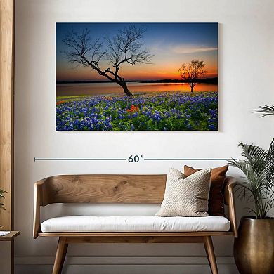 Texas Sunset Wall Art