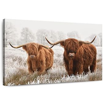 Hairy Scottish Highland Cows Wall Art