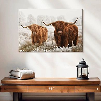 Hairy Scottish Highland Cows Wall Art