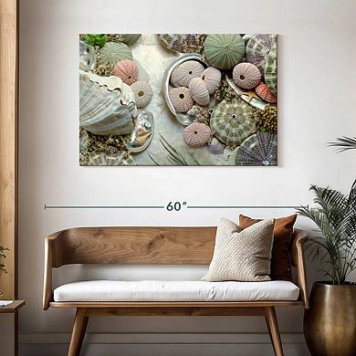 Island Tide Pool IV Wall Art