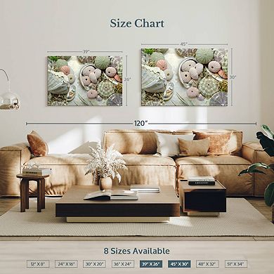 Island Tide Pool IV Wall Art