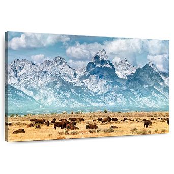Bison Herd In Grand Teton Wall Art
