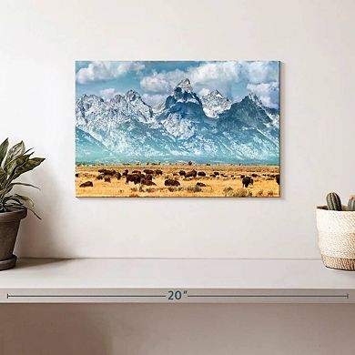 Bison Herd In Grand Teton Wall Art