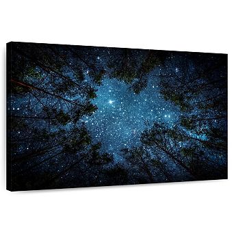 Forest At Night Wall Art