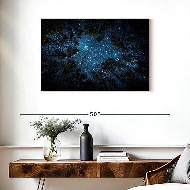 Forest At Night Wall Art