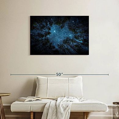 Forest At Night Wall Art