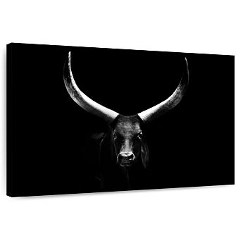 Dark Watusi Bull Wall Art
